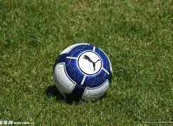 原标题,横扫帕芙柳,琴科娃取得,BBIN真人试玩,BBIN真人游戏平台,BBIN真人视讯,BBIN真人官网