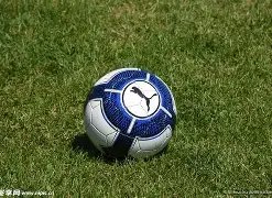 真人官网,产品,BBIN真人官网,BBIN真人试玩,BBIN真人游戏平台,BBIN真人视讯,BBIN真人官网