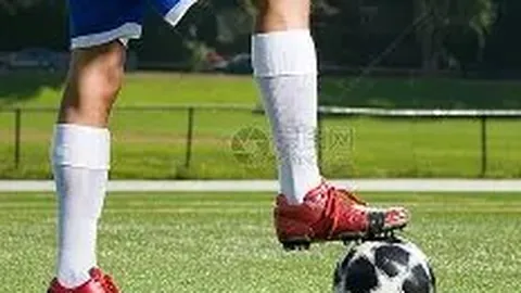 BBIN真人官网 资讯 124950 9cl